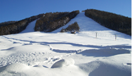 徒歩0分の中社ゲレンデ