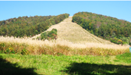 夏の顔の中社ゲレンデ